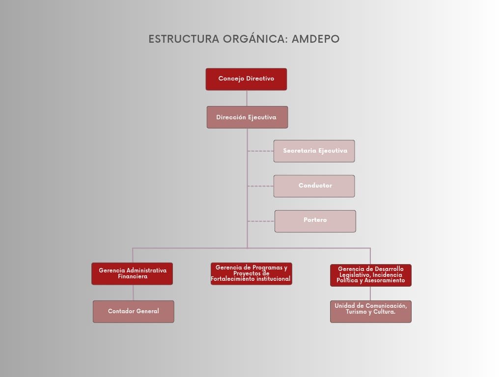 Organigrama Institucional Amdepo